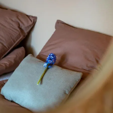 Bed & Breakfast Mosters
